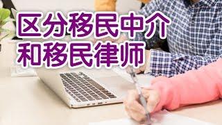 如何区分移民中介和移民律师？|移民美国Difference Between Immigration Agent and Immigration Lawyer