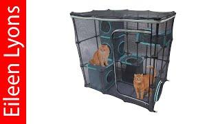 Best Outdoor Cat Enclosures 2023 - Top 5