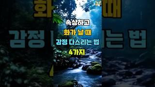 속상하고 화가 날 때 감정 다스리는 법 4가지  #명언 #좋은글 #지혜