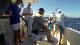 Rusty Hook Yellow Fin Tuna - Venezuela 2013