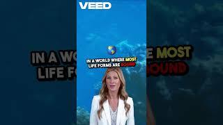 Meet the Immortal Jellyfish  Nature's Time Machine! VEED