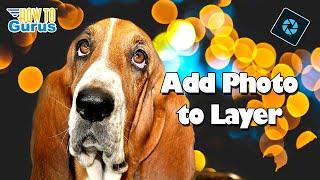 Photoshop Elements Tutorials for Beginners Add a Photo to a Layer