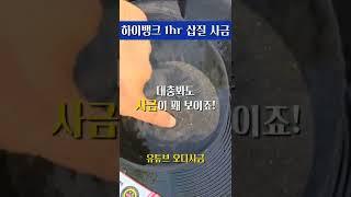 노란게 다~ 금입니다! 금(Gold) #사금 #사금채취 #goldpanning #gold