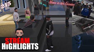 [Sektor] Best Of GTA RP | Streamhighlights #215 | Apudox