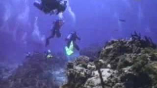 PADI Scuba Diving Lessons: PADI Drift Diver Course