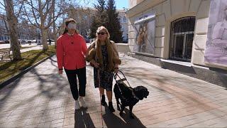Уникальные экскурсии по Севастополю будет проводить девушка с псом-поводырём