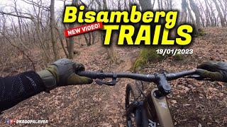 RADON SLIDE TRAIL 8.0 2022 | Bisamberg Trails | Drago Palavra