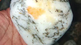 TREE AGATE STONE LOOK WHAT I HAVE FOUND