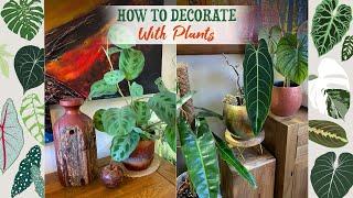 How To Incorporate Houseplants Into Your Home Decor 