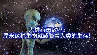 人类有天敌吗？原来这种生物就威胁着人类的生存！