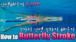 이현진 수영 / how to butterfly stroke / 접영발차기 /접영 연결동작