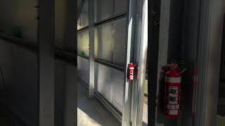 Best Sheds Australia, shed kit, DIY Owner Builder Day 5 progress