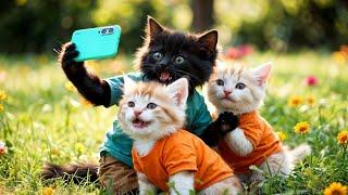 Kittens' Purr-fect Picnic Adventure! 