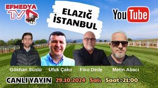 30.10.2024 Çarşamba Elazığ ve İstanbul Altılı Ganyan, At Yarışı Tahminleri