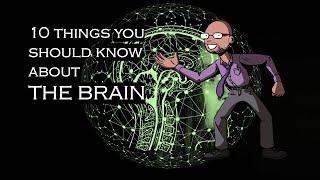 10 Things You Should Know About THE BRAIN!