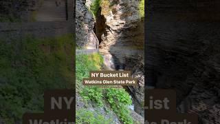 Watkins Glen State Park with no crowds! #waterfalls #watkinsglenstatepark #fingerlakes #shorts