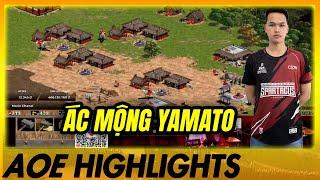 Cơ cấu lực KHỦNG KHIẾP - Chim Sẻ có lượng chém KHỔNG LỒ | AoE Highlights #aoe