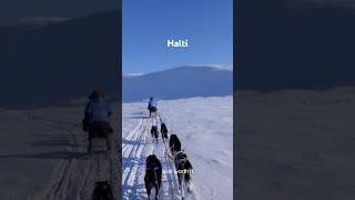 Dogsledding in Norway #arctic #mountains