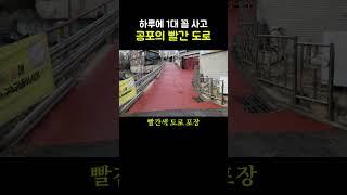 충격과 공포의 도로?