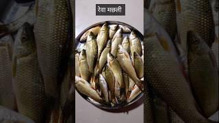 Fish fry recipe | Small Rohu  #fish#shorts#trending