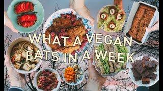 WHAT THIS VEGAN ATE IN A WEEK  feel good comfort food