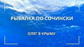 ЖИЗНЬ В СОЧИ 2024  | КАК МЫ С ДОЧЕЙ АКУЛУ ЛОВИТЬ ПОШЛИ #сочи #крым #олегвкрыму #рыбалка