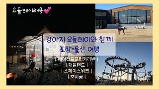 강아지와 1박2일 포항•울산 카라반여행 (Ep.1)