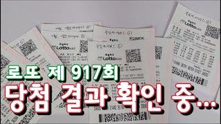로또 917회 일등돼지 당첨 결과 확인