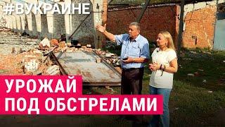 Фермеры у границы с Россией | #ВУКРАИНЕ