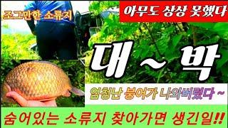 낚시 안하는 소류지/ 이런 녀석들이 나올거라 아무도 상상 못했다!!/ 숨겨진 소류지에서 생긴일!! #붕어낚시 #민물낚시 #월척붕어 #4짜붕어 #토종터 #대물낚시 #차대1보