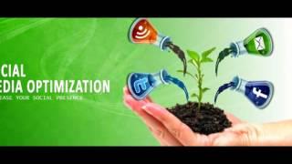 SMO Company Delhi,SMO Services Delhi,Social Media optimization Delhi