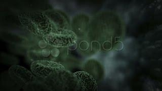 Green Vessels. Stock Footage