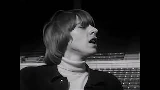 NEW * Shapes Of Things - The Yardbirds {Stereo} 1966