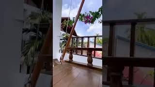 Guest house in Hangnaameedhoo Maldives