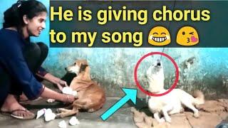 He is giving chorus to my song || Nidhi Tiwari || saving animals