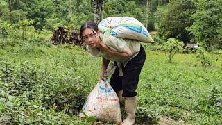 A 17 year old girl builds a new life alone, living with nature, daily life