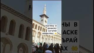 я чан жуванбур #дамаск #шам #лезгины #сирия #баку #москва #питер #кавказ #дагестан #стамбул #алеппо
