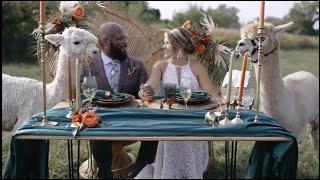 Green Meadows Alpaca Ranch ~ Alpaca Wedding