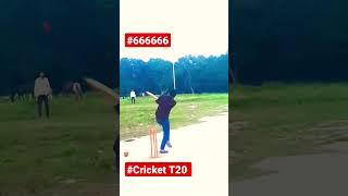 APL T10 cricket India #666666