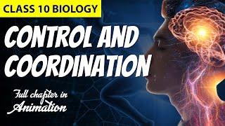 Class 10 Control & Coordination Full Chapter | Class 10 Science | Gradebooster #biology #class10