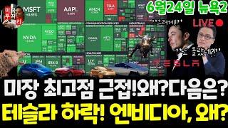 미국주식시황/오늘 상승한 3가지 이유? 테슬라 하락! 엔비디아 상승!왜? 페덱스 구글 애플 아마존 메타 마이크로소프트 팔란티어 아이온큐 리게티 브로드컴 노보 $tsla #tesla