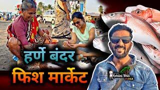 Vlog Harnai Fish market Dapoli   हर्णे मच्छि बंदर दापोली   kokani Bhai Vlogs | Kokan