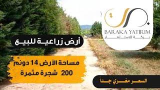 ارض زراعية للبيع في مدينة بورصة