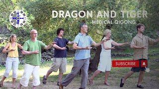 Dragon and Tiger Medical Qigong