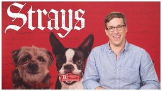 STRAYS Director Talks R-Rated Dog Comedy | Josh Greenbaum Interview