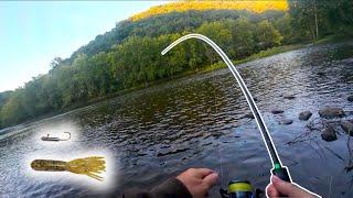 Spiral rigged tube could be the best crawfish imitation I have ever seen...