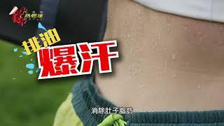 熱燃速腰帶｜醫療級石墨烯腰帶問世！