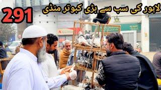 291) Lahore lari ada kabootar mandi || lahore bairds market || کبوتر منڈی