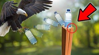 This Bird Scored A Trick Shot!