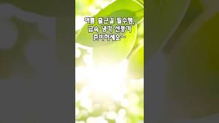 여름 출근길 필수템 급속 냉각 선풍기 준비하세요~